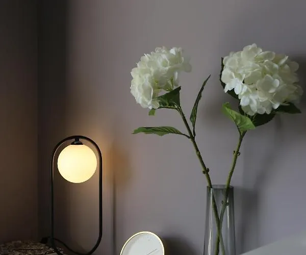 Ambassador 아파트